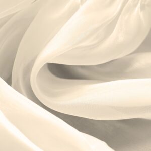 Ivory Silk Organza