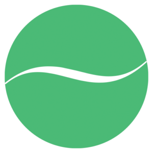 The silk route favicon