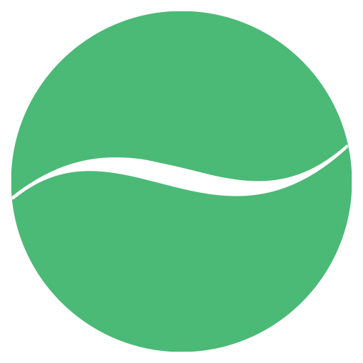 The silk route favicon